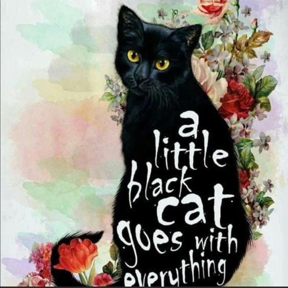 Every Girl needs a little black,Gray & Tiger/Leopard Cat Happy Valentine’s Day♥️ - Picture 2 of 16